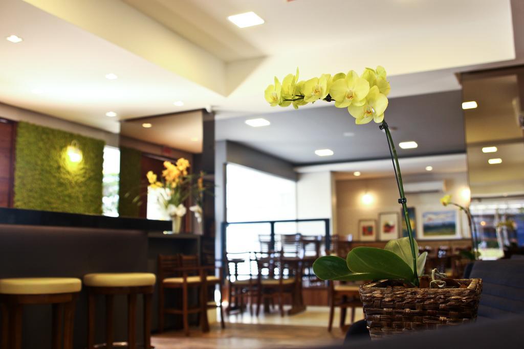 藍山酒店 酒店 Timbo (Santa Catarina)