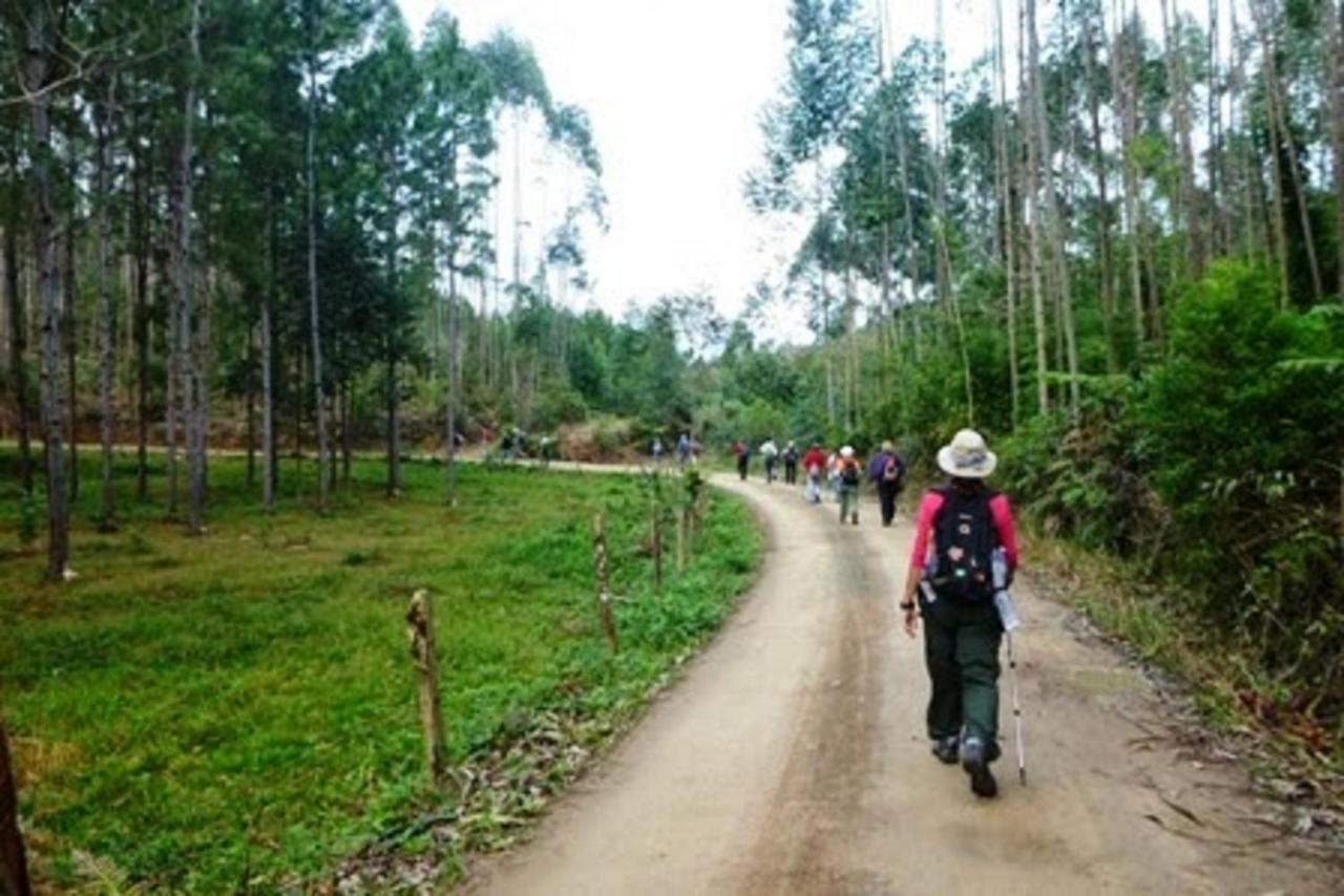 藍山酒店 4* Timbo (Santa Catarina)