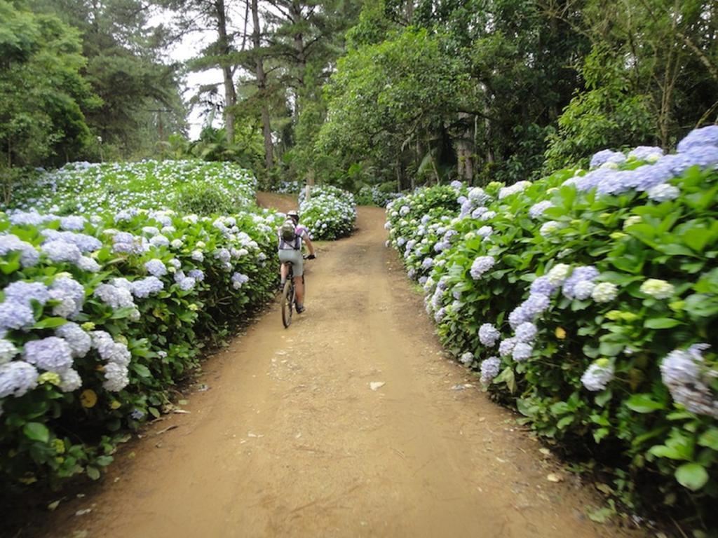 Blue Hill Hotel Timbo (Santa Catarina)